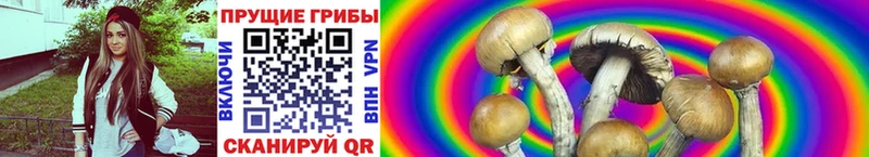 Псилоцибиновые грибы GOLDEN TEACHER omg рабочий сайт Яблоновский